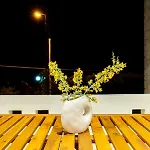 Ros Solis Luxure House *