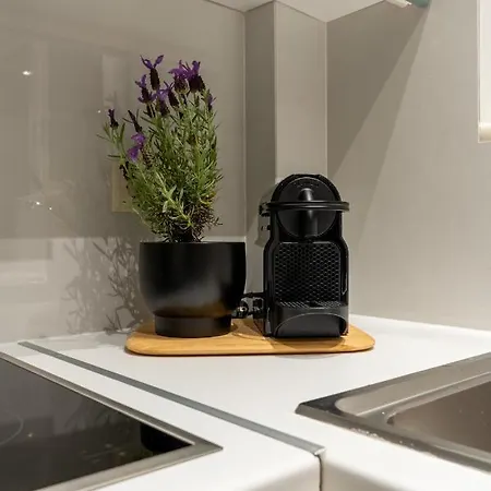 Ros Solis Luxure House *